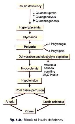 Effects of Insulin Deficiency