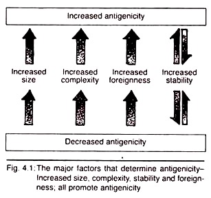 Major Factors that Determine Antigenicity Increased Size, Complexity, Stability and Foreignness