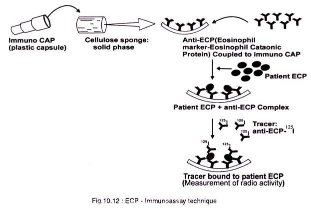 Immunoassay technique