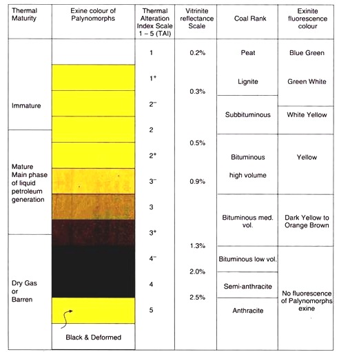 Scale of palynomorphs colour