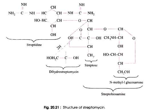 Structure of Streptomycin