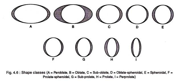 Various shapes of the pollen grains