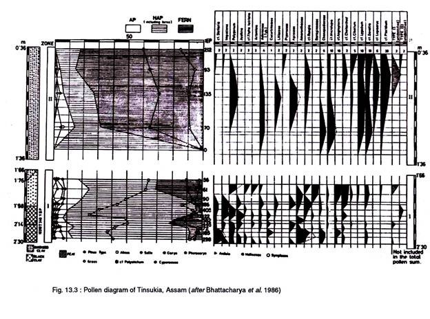 Pollen diagram of Tinsikia, Assam