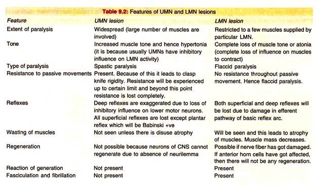 Features of UMN and LMN Lesions