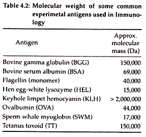 Molecular Weight of Some Common Experimental Antigens