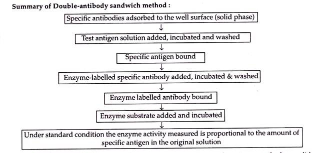 Double - antibody sandwich method