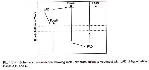 Schematic cross-section showing rock units from oldest to youngest