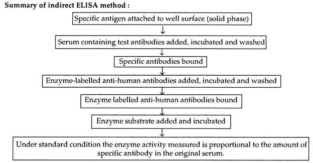 Indirect ELISA method