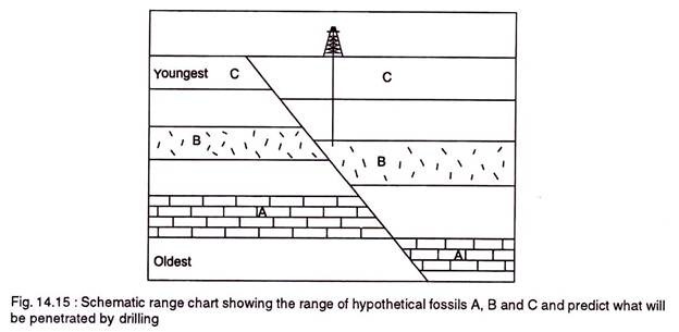 Schematic range chart showing the range of hypothetical fossils