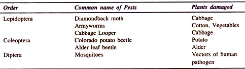 Target Pests of Bacillus Thuringinensis