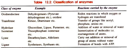 Classification of Enzymes