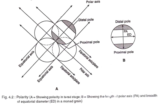 Polarity