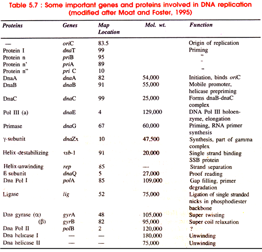 Important Genes and Porteins 