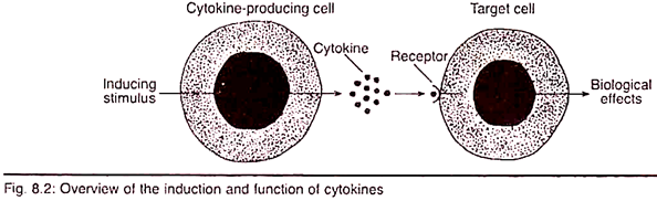 Overview of the Induction and Function of Cytokines