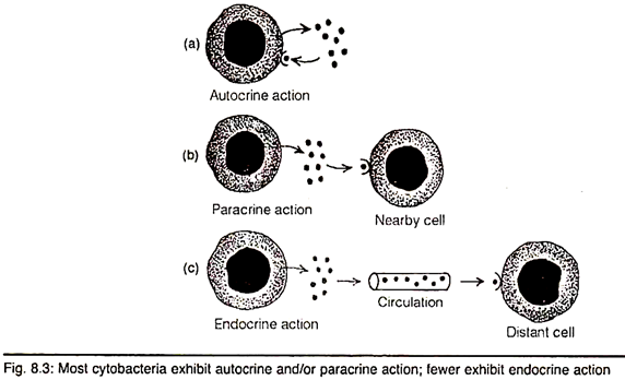 Cytobacteria Exhibit Autocrine and Paracrine Action