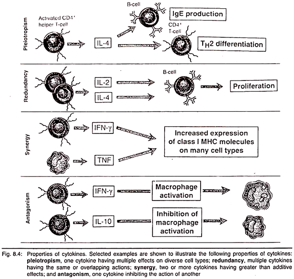 Properties of Cytokines