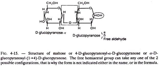 Structure of Maltose