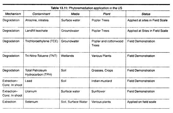 Phytoremediation application in the US