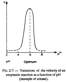 Variations of the Velocity of an Enzymatic Reaction