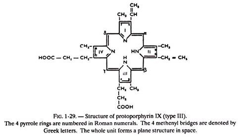 Structure of Protoporphyrin IX