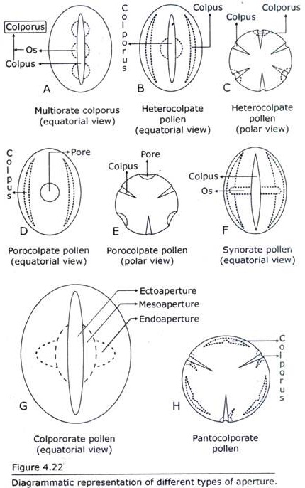 Different Types of Aperture