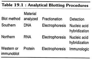 Analytical blotting procedure