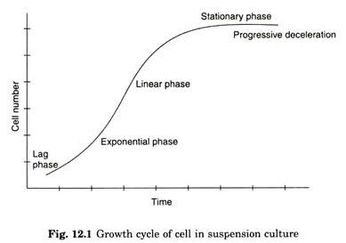 Growth Cycle of Cell in Suspension Culture