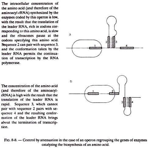 Control by Attenuation