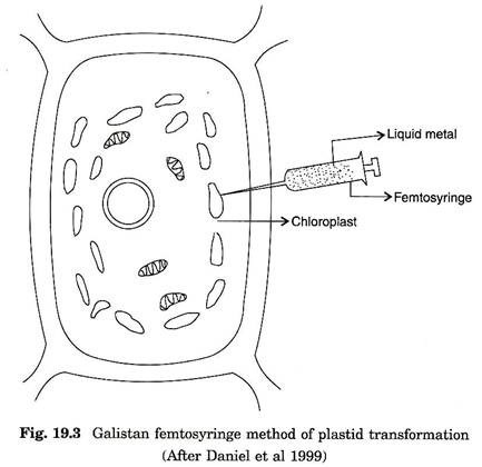 Galistan femtosyringe method of plastid transformation