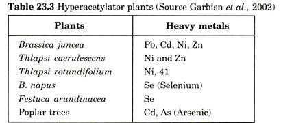 Hyperacetylator Plants