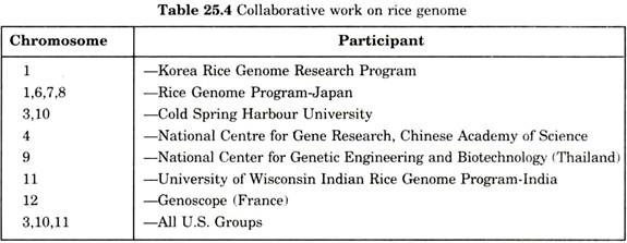 Collaborative work on rice genome