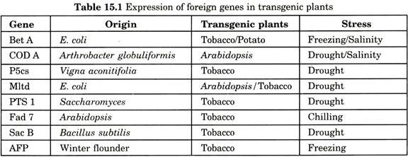 Expression of foreign genes in transgenic plants