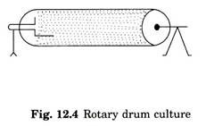 Rotary Drum Culture