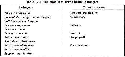 Main Seed Borne Brinjal Pathogens