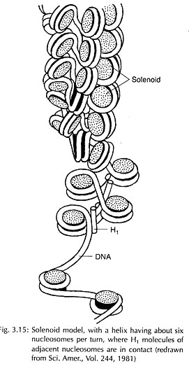 The genetic map of E.coli