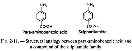 Structural Analogy between Para-Aminobenzoic Acid and a Compound of the Sulphamide Family