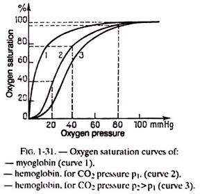 Oxygen Saturation