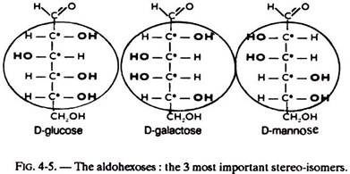 Aldohexoses