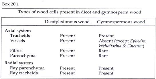 Types of Wood Cells present in Dicot and Gymnosperm Wood