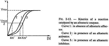 Kinetics of a Reaction Catalyzed by an Allosteric Enzyme