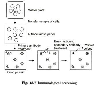 Immunological screening