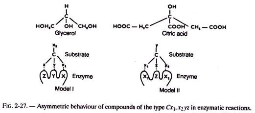 Asymmetric Behaviour of Compounds