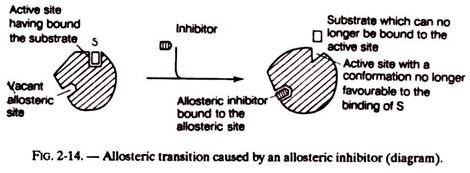 Allosteric Transition Caused by an Allosteric Inhibitor