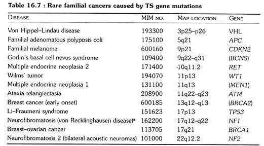 Rare familial cancers caused by TS gene mutations