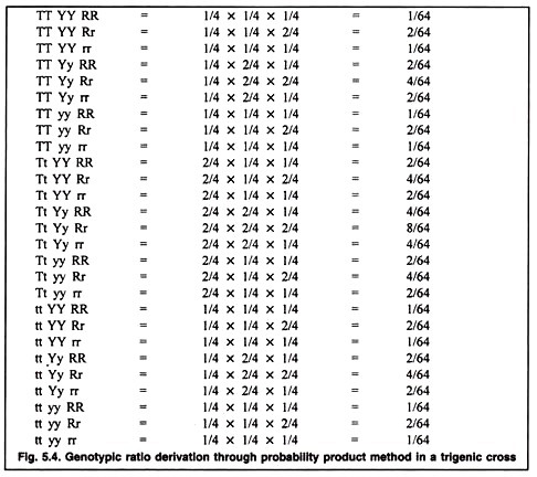 Genotypic ratio derivation throuogh probability product method in a trigenic cross