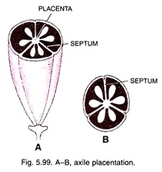 A-B Axile Placentation