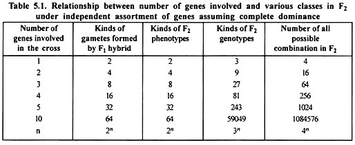 Relationship between number of genes