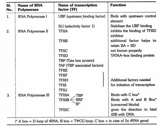 List of some transcription factors