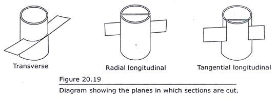 Planes in which Sections are cut