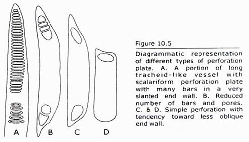 Different Types of Perforation Plate